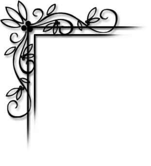 Corner Image
